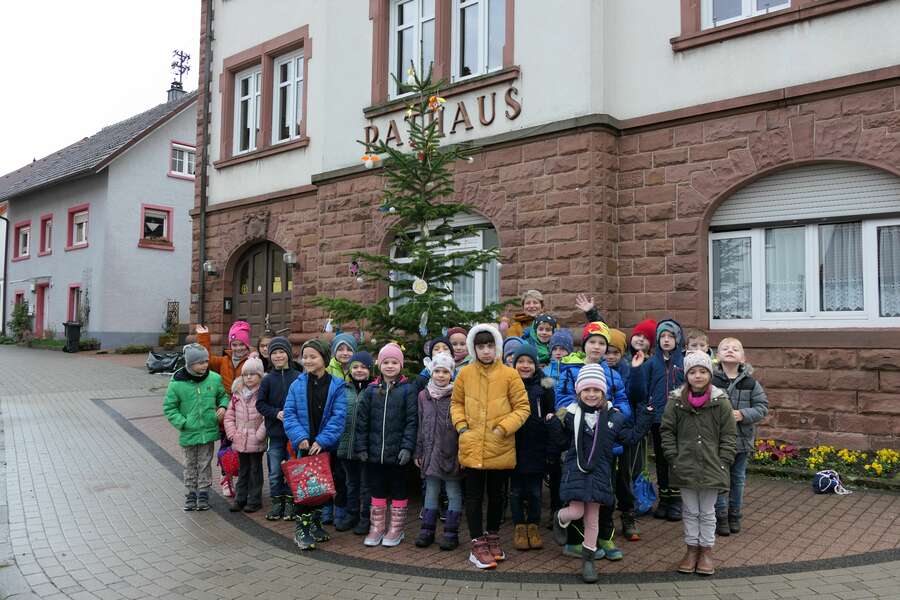 Buchen hainstadt Kinderbaum